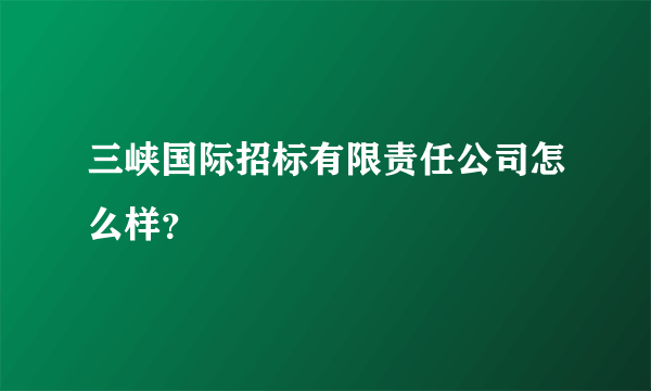 三峡国际招标有限责任公司怎么样？