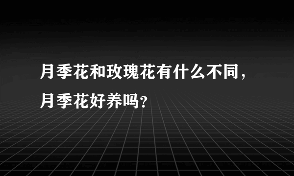月季花和玫瑰花有什么不同，月季花好养吗？
