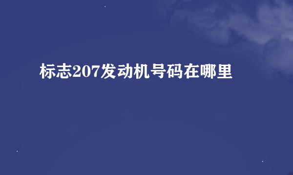 标志207发动机号码在哪里