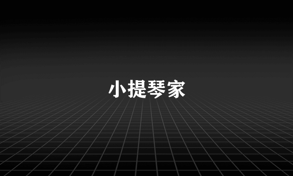 小提琴家