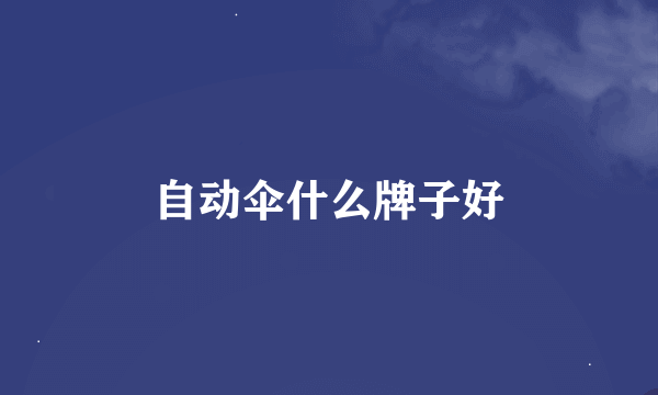 自动伞什么牌子好
