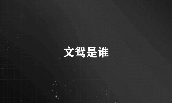 文鸳是谁