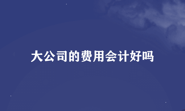 大公司的费用会计好吗