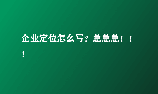 企业定位怎么写？急急急！！！