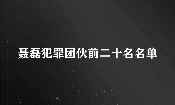 聂磊犯罪团伙前二十名名单