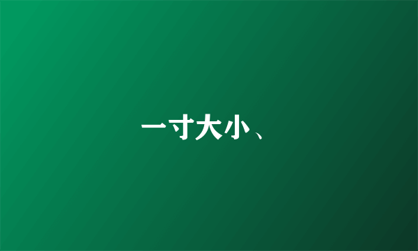 一寸大小、