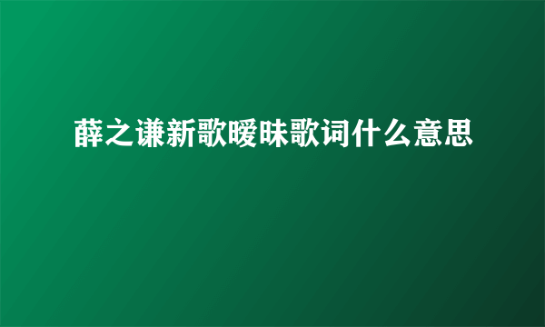 薛之谦新歌暧昧歌词什么意思