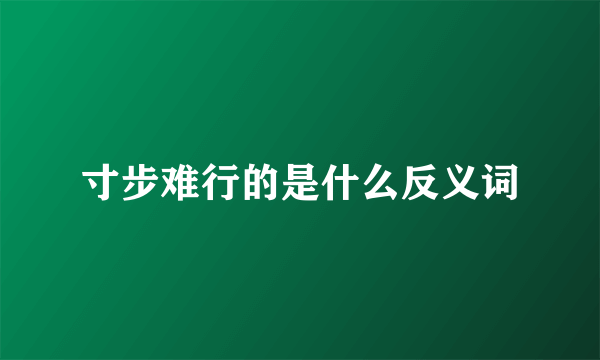 寸步难行的是什么反义词