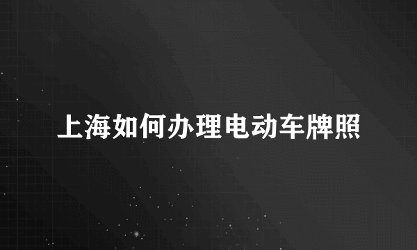 上海如何办理电动车牌照