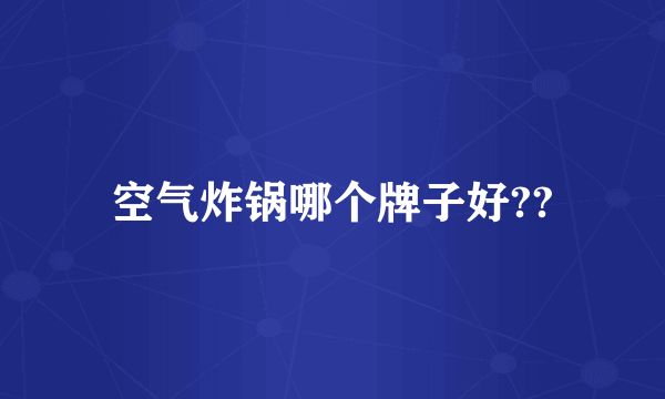 空气炸锅哪个牌子好??