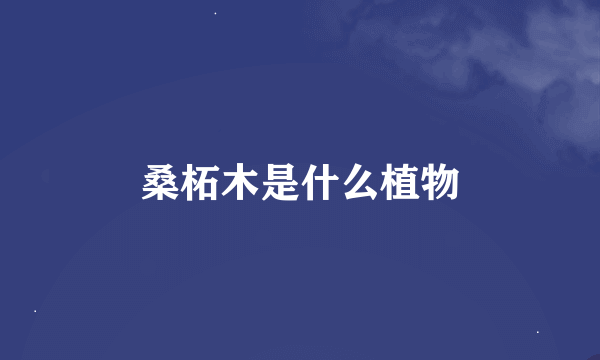 桑柘木是什么植物