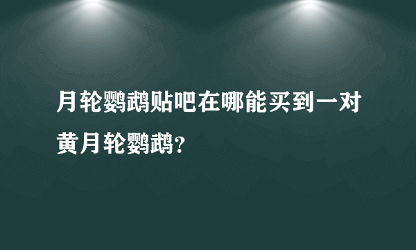 月轮鹦鹉贴吧在哪能买到一对黄月轮鹦鹉？