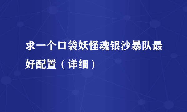求一个口袋妖怪魂银沙暴队最好配置（详细）