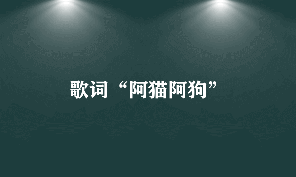 歌词“阿猫阿狗”