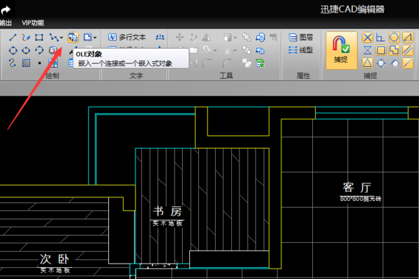 cad中插入的ole 对象怎么调整啊。。。