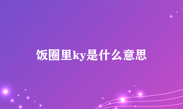 饭圈里ky是什么意思