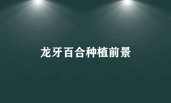龙牙百合种植前景