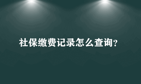 社保缴费记录怎么查询？