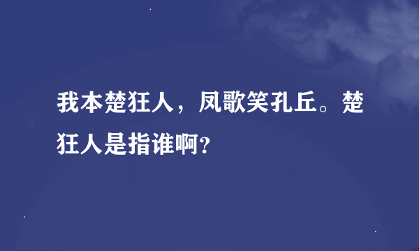 我本楚狂人，凤歌笑孔丘。楚狂人是指谁啊？