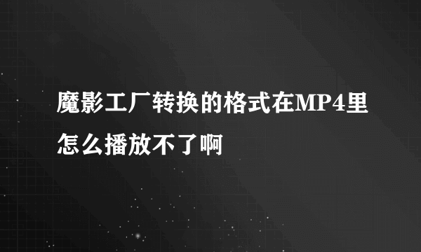 魔影工厂转换的格式在MP4里怎么播放不了啊