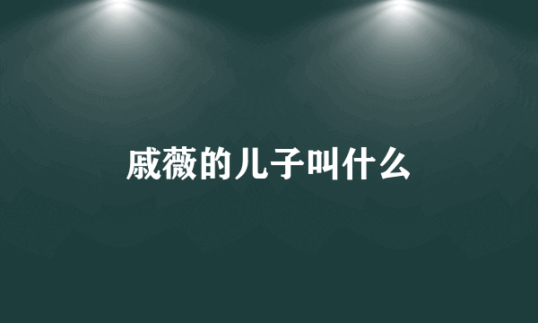 戚薇的儿子叫什么
