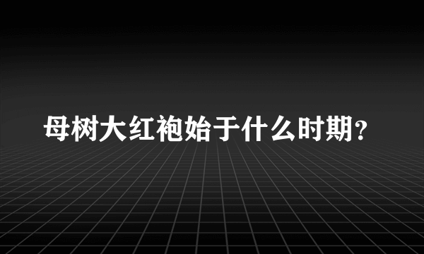母树大红袍始于什么时期？