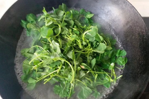 水蜡烛根的食用水蜡烛根怎么食用