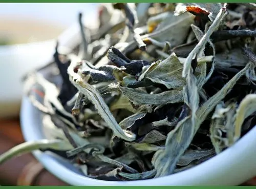 月光白属于什么茶类？