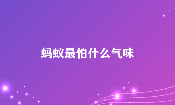 蚂蚁最怕什么气味