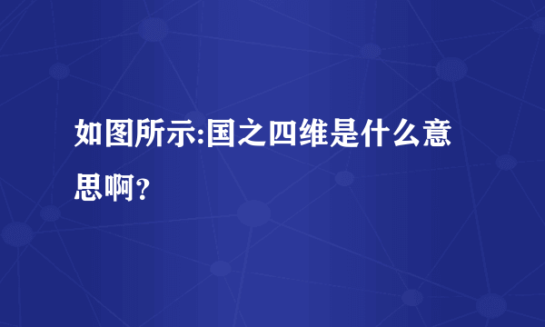 如图所示:国之四维是什么意思啊？