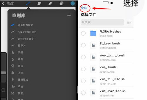 求大神告诉我笔刷怎么导入procreate的方法