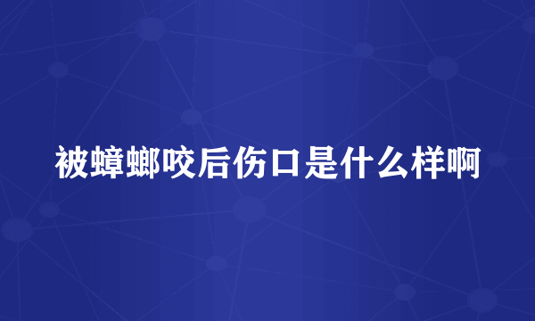 被蟑螂咬后伤口是什么样啊