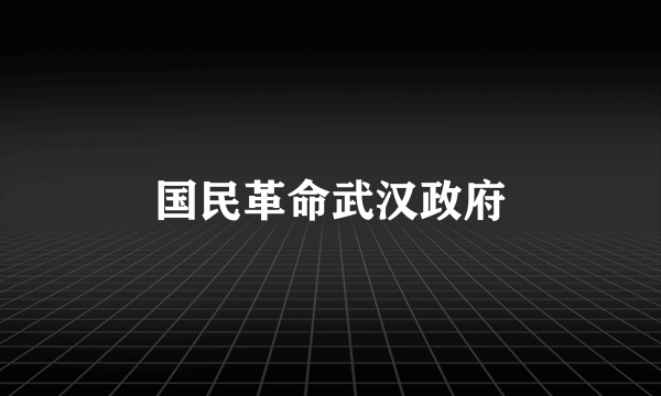 国民革命武汉政府