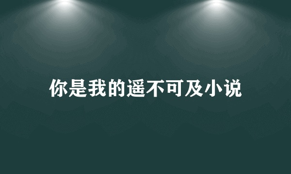 你是我的遥不可及小说