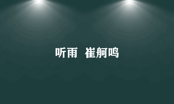 听雨  崔舸鸣