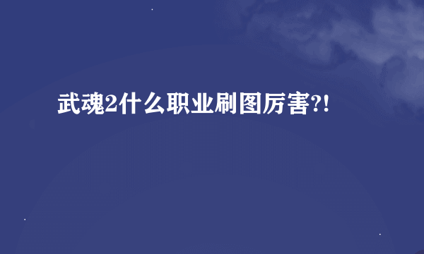 武魂2什么职业刷图厉害?!
