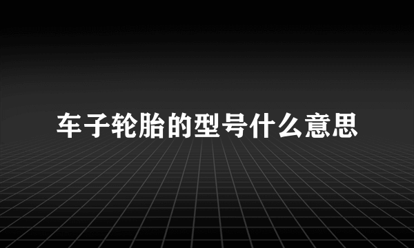 车子轮胎的型号什么意思