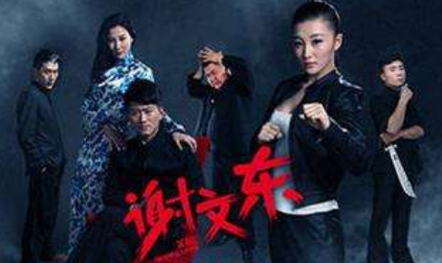 谢文东第五季什么时候上映，在哪个视频