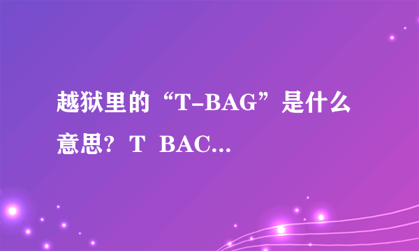 越狱里的“T-BAG”是什么意思?  T  BACK又为什么是T字裤？
