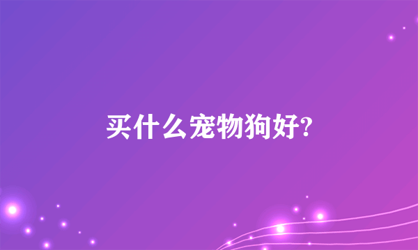买什么宠物狗好?