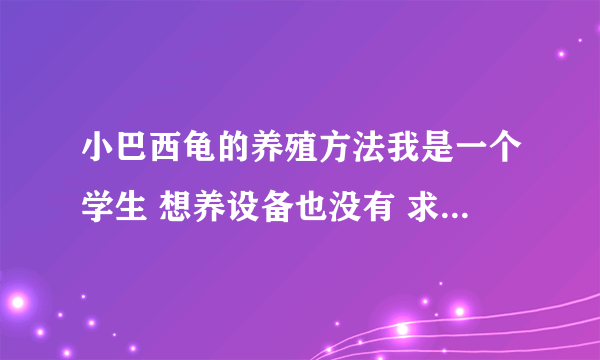 小巴西龟的养殖方法我是一个学生 想养设备也没有 求家庭装 养法