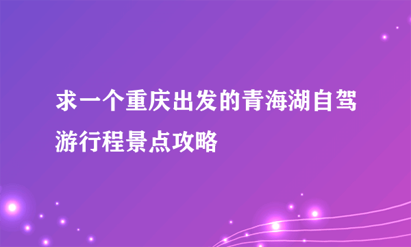 求一个重庆出发的青海湖自驾游行程景点攻略