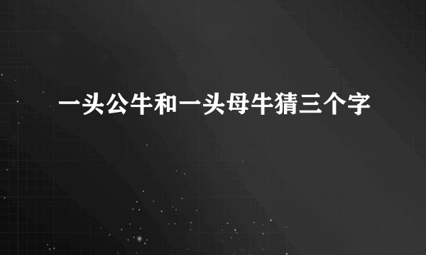 一头公牛和一头母牛猜三个字