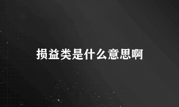 损益类是什么意思啊