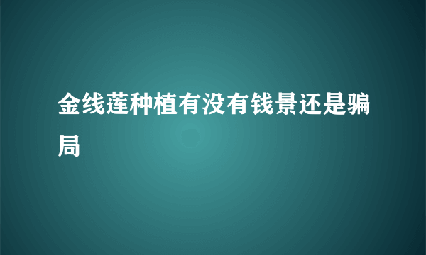 金线莲种植有没有钱景还是骗局