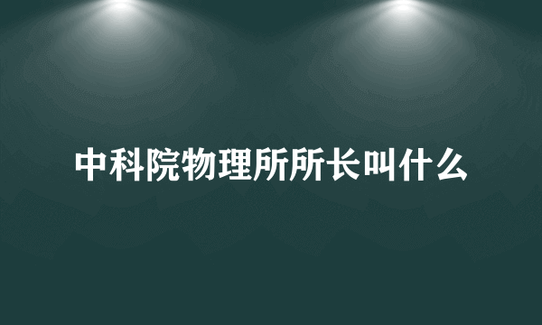 中科院物理所所长叫什么