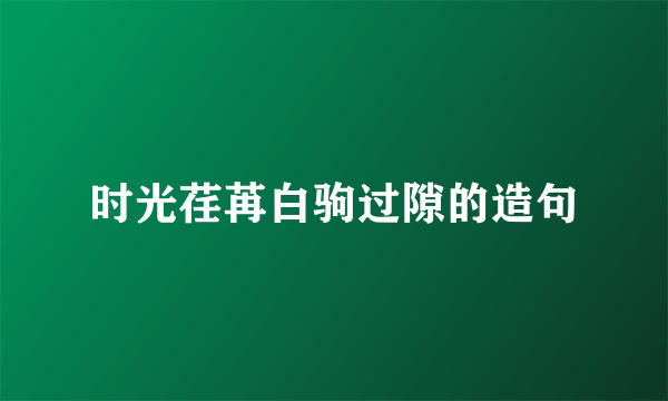 时光荏苒白驹过隙的造句