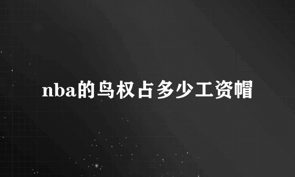 nba的鸟权占多少工资帽
