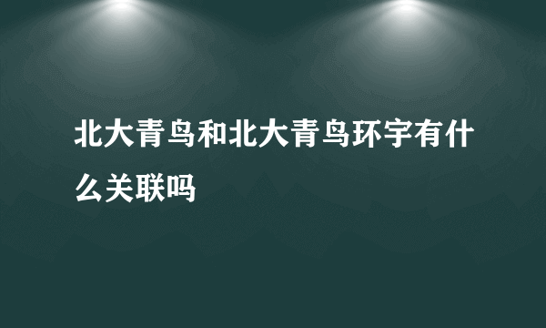 北大青鸟和北大青鸟环宇有什么关联吗