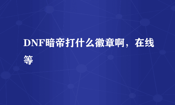 DNF暗帝打什么徽章啊，在线等